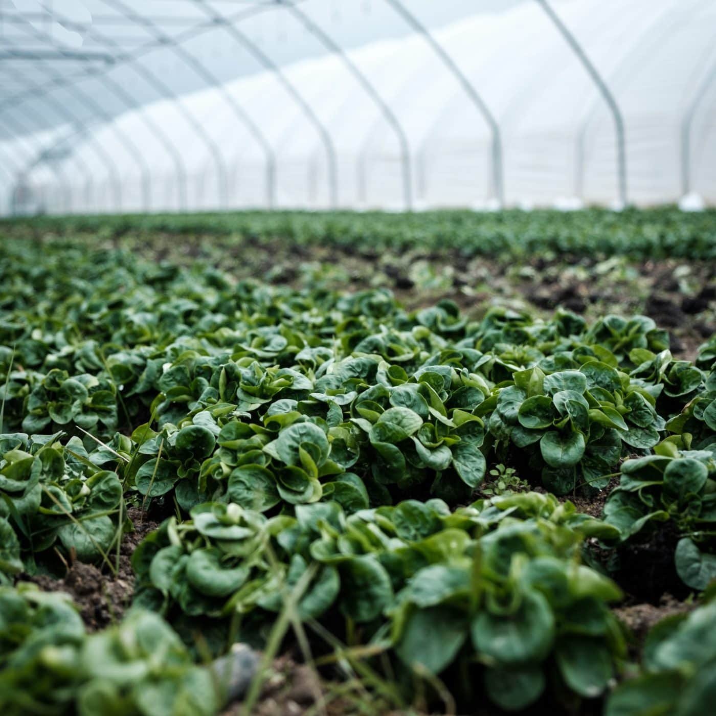 Russia exported at least $6.6bn worth of fertilizers in first half of 2023