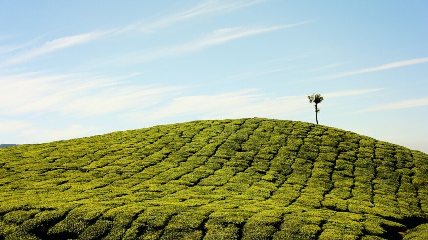 Indian state-owned companies to invest $371.90mn in joint fertilizer venture – Reuters