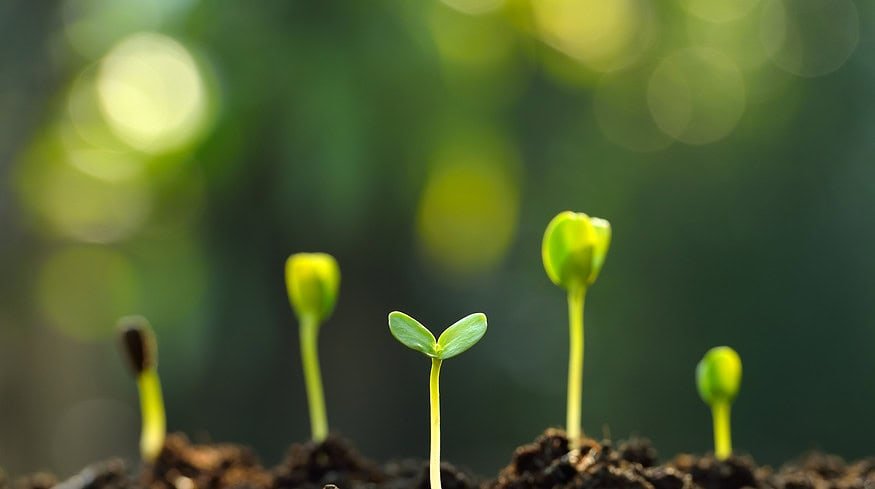 Unlocking fertilizer-free agriculture through dormant plant traits