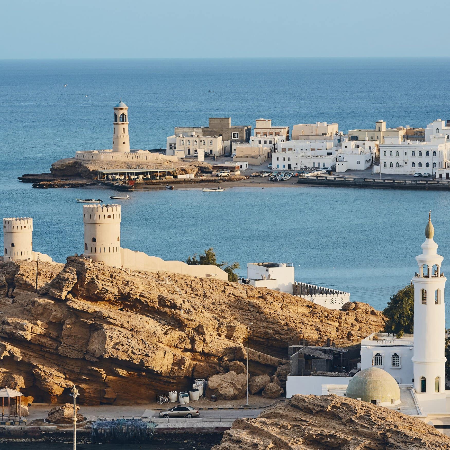 Omani Fertilizer Plant Aims for 100,000 Tonnes of Organic Fertilizer