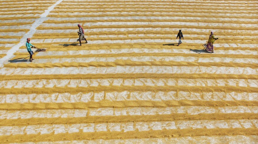 OCP Group, TDB, and MIGA seeking to improve food security in Africa