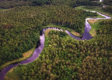 Brazilian court quashes suspension of license for Amazon potash mine