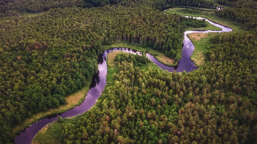 Brazilian court quashes suspension of license for Amazon potash mine