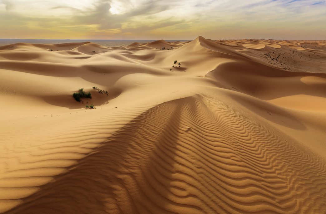 The beauty of the golden sands in Saudi Arabia