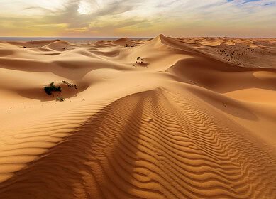 Saudi Investment Recycling Company collaborates with Edama on organic waste and desert farming