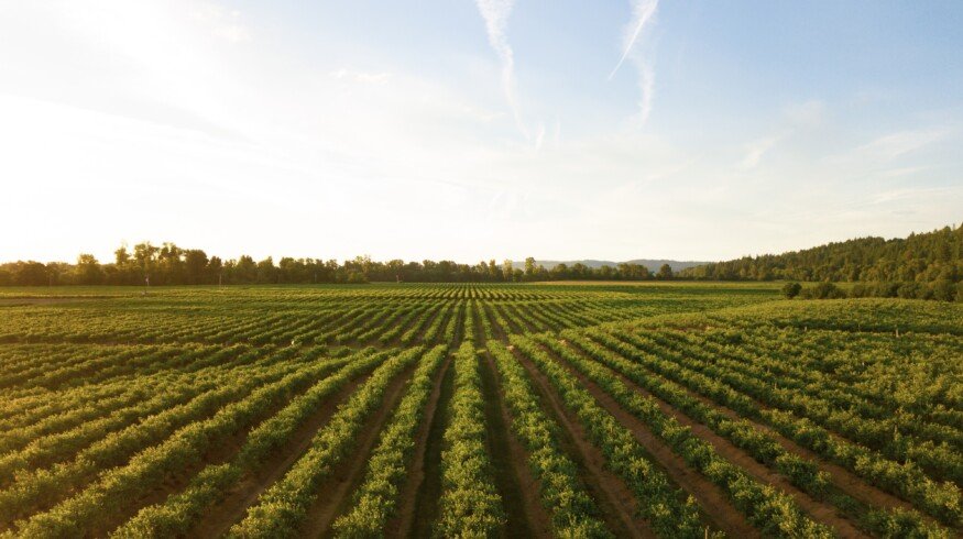 US seeks to expand domestic fertilizer production with new grants