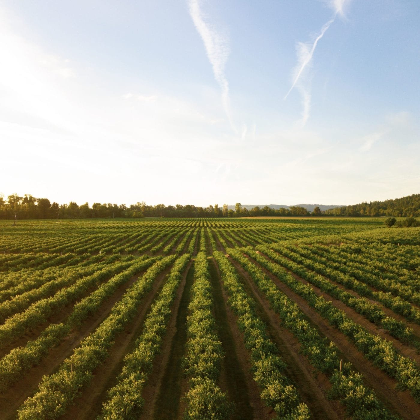 US seeks to expand domestic fertilizer production with new grants