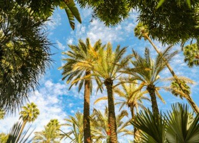 Morocco’s OCP Group receives €100mn green loan from the IFC