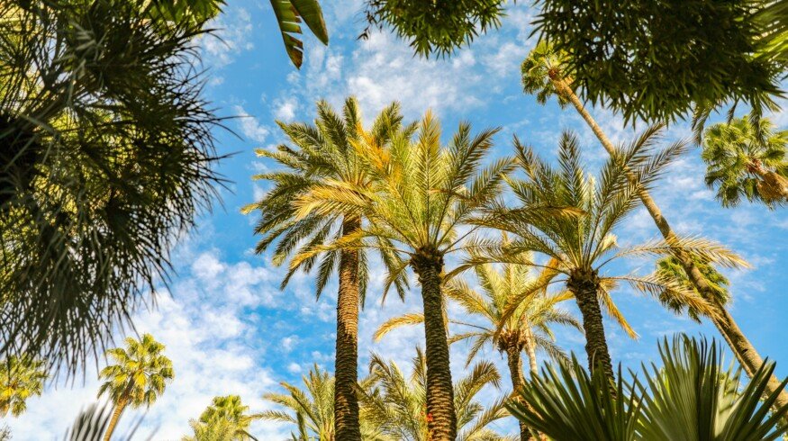 Morocco’s OCP Group receives €100mn green loan from the IFC