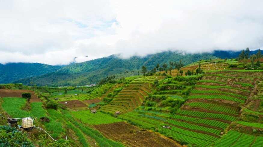 Pupuk Kaltim to build fertilizer factory in West Papua