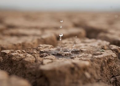 World Food Forum spotlights role of technology in soil and water management