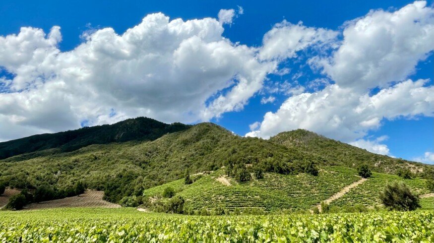 Chile bans 14 groups of pesticides
