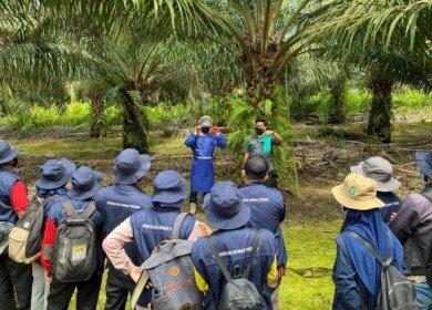 Bunge and Musim Mas join forces to enhance sustainability in palm oil production