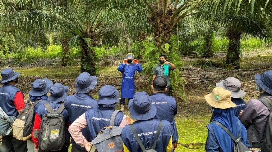 Bunge and Musim Mas join forces to enhance sustainability in palm oil production