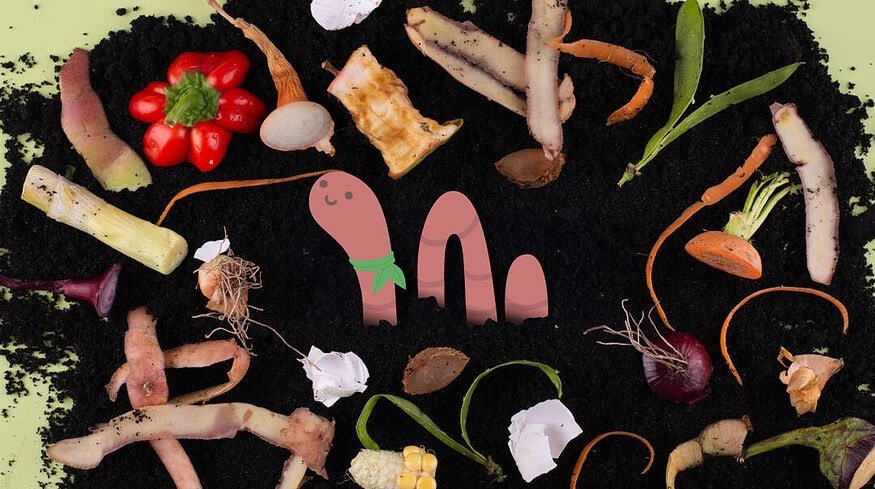 Port of San Diego says composting will help keeping food waste out of San Diego Bay