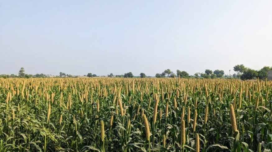 Pakistan in talks with Azerbaijan to purchase urea