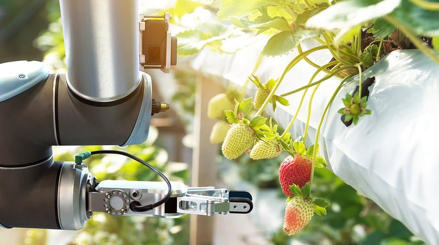 Harnessing technology in farming: Single Board Computers in precision agriculture