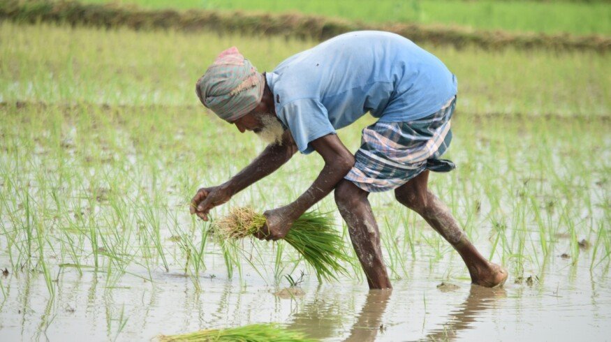 Political turmoil in Bangladesh disrupts fertilizer supply during critical agricultural season