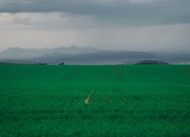 African Development Bank seeks to improve Kenyan farmers’ access to fertilizers