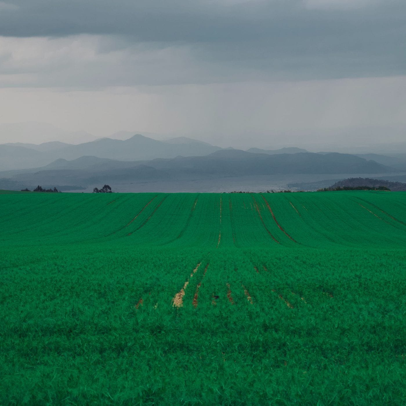 African Development Bank seeks to improve Kenyan farmers’ access to fertilizers