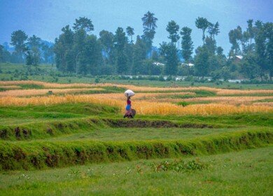 Agaciro Development Fund and Hinga Wunguke join forces to support Rwanda’s agriculture
