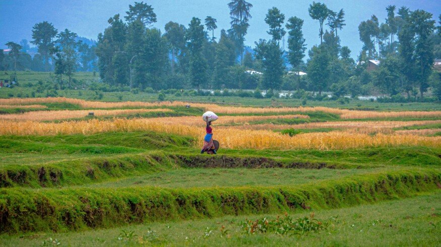 Agaciro Development Fund and Hinga Wunguke join forces to support Rwanda’s agriculture
