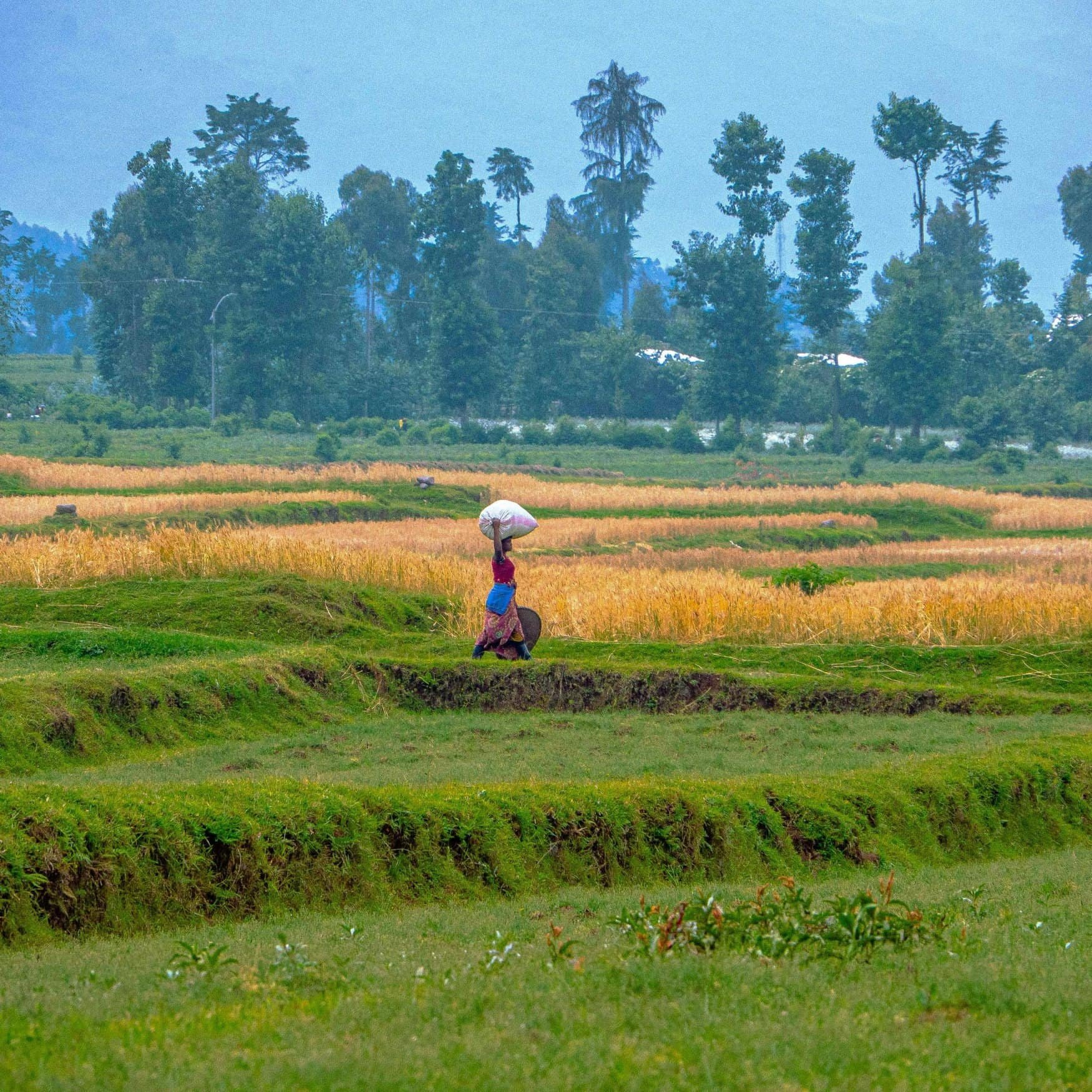 Agaciro Development Fund and Hinga Wunguke join forces to support Rwanda’s agriculture