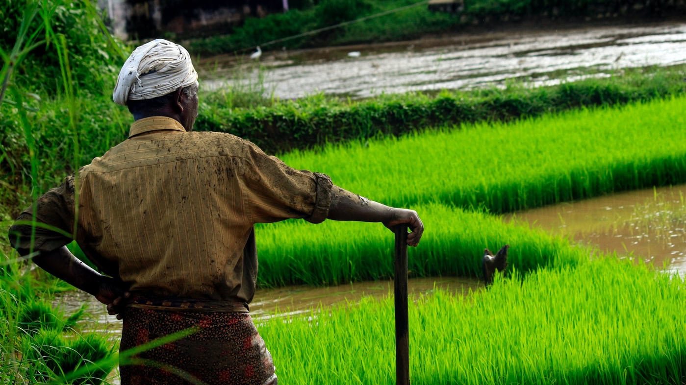 Fertilizer crisis emerges in India due to black market surge