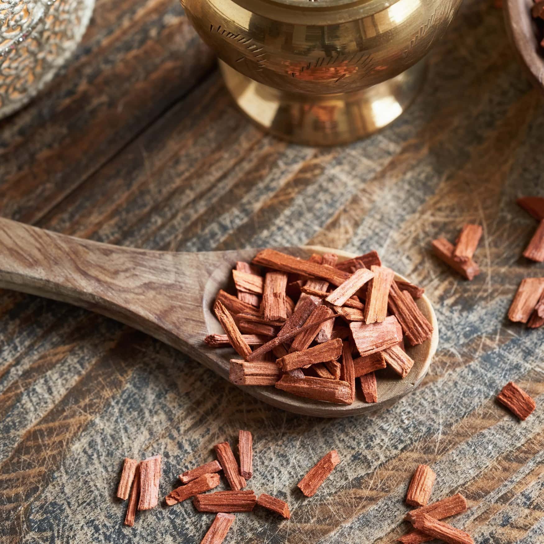 Innovations in red sandalwood cultivation poised to boost exports