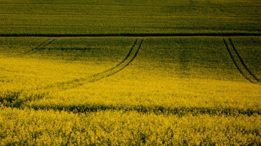 French startup developing urine-based plant biostimulant secures €8.4mn