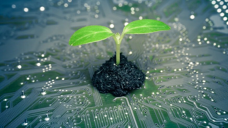 Revolutionizing fertilizer production: Green Ammonia’s rise
