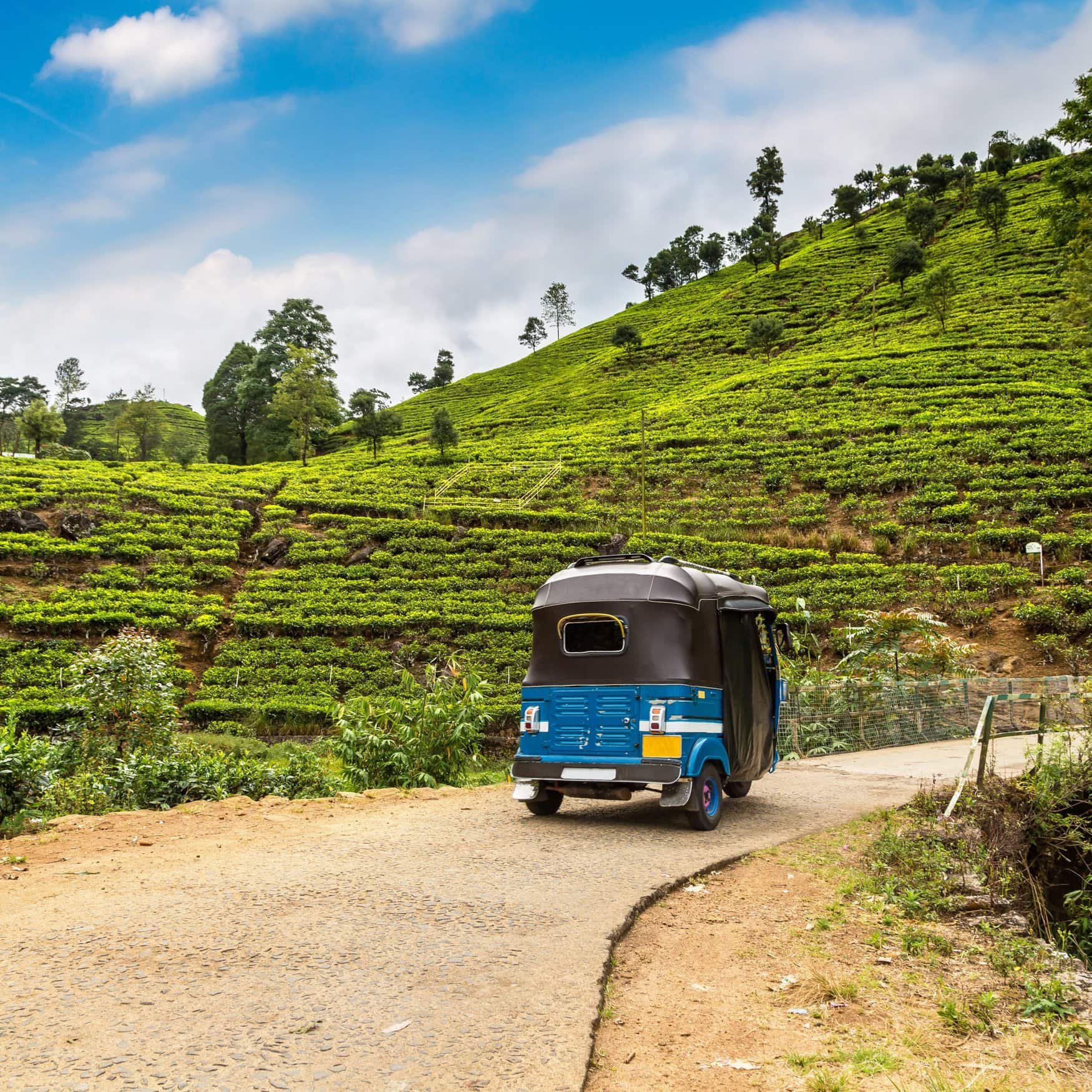 Sri Lanka government considers halving MOP fertilizer prices