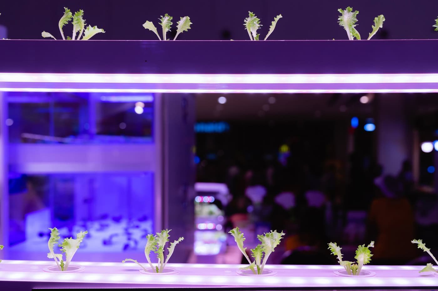 Enterprise Aquatics integrates aquaponics into traditional farming