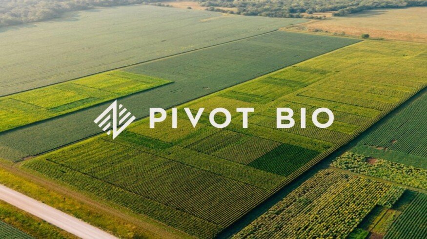 Pivot Bio donates funds to support local food banks