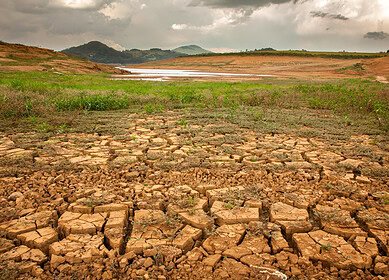 Brazilian drought slows fertilizer purchases, affecting global suppliers