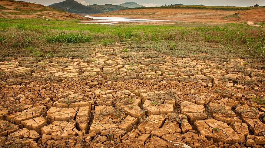 Brazilian drought slows fertilizer purchases, affecting global suppliers