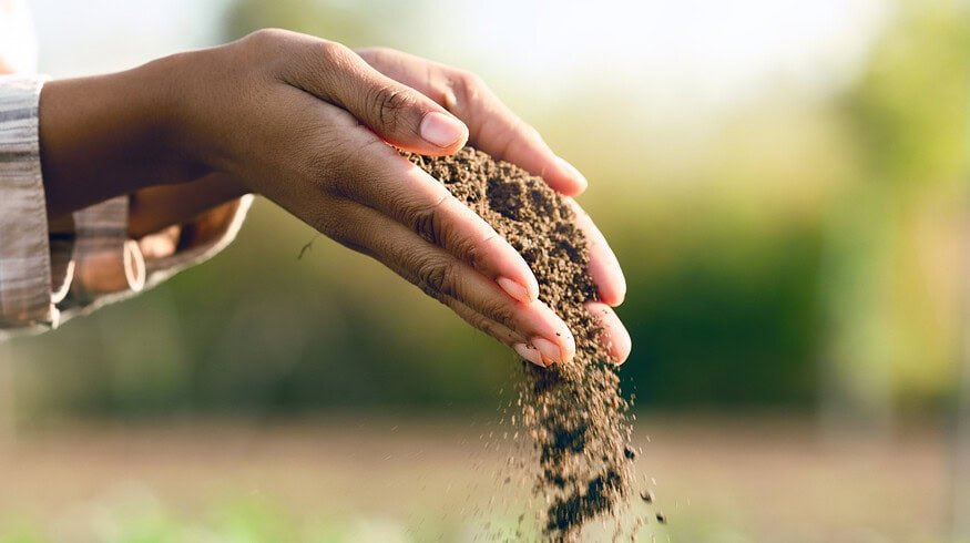 FAO welcomes US funding for soil fertility mapping projects