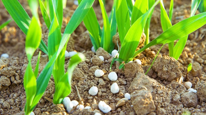 Rwanda inaugurates fertilizer blending plant