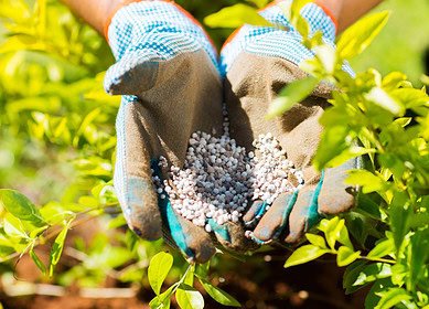 Kenya’s Fertilizer Subsidy Program supports farmers amidst economic challenges