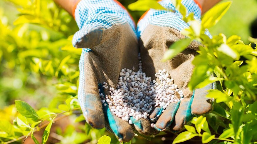 Kenya’s Fertilizer Subsidy Program supports farmers amidst economic challenges