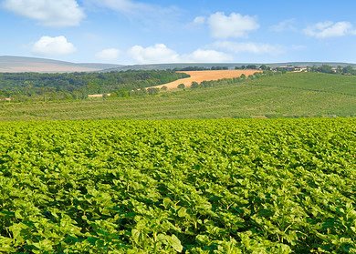 Japan to support Moldovan farmers with €1.9mn grant