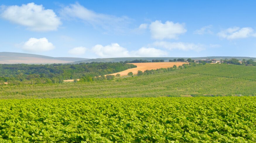 Japan to support Moldovan farmers with €1.9mn grant