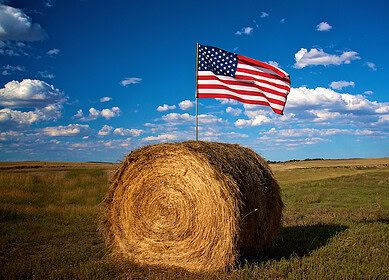 Midwest senators seek to promote transparency on fertilizer market