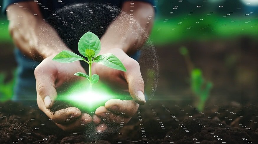 ICL Growing Solutions partners with AI startup Agrematch