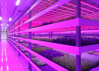 ReFarm to build vertical ‘gigafarm’ in Dubai