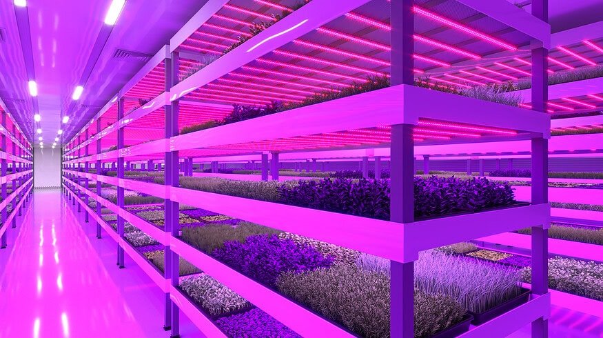 ReFarm to build vertical ‘gigafarm’ in Dubai
