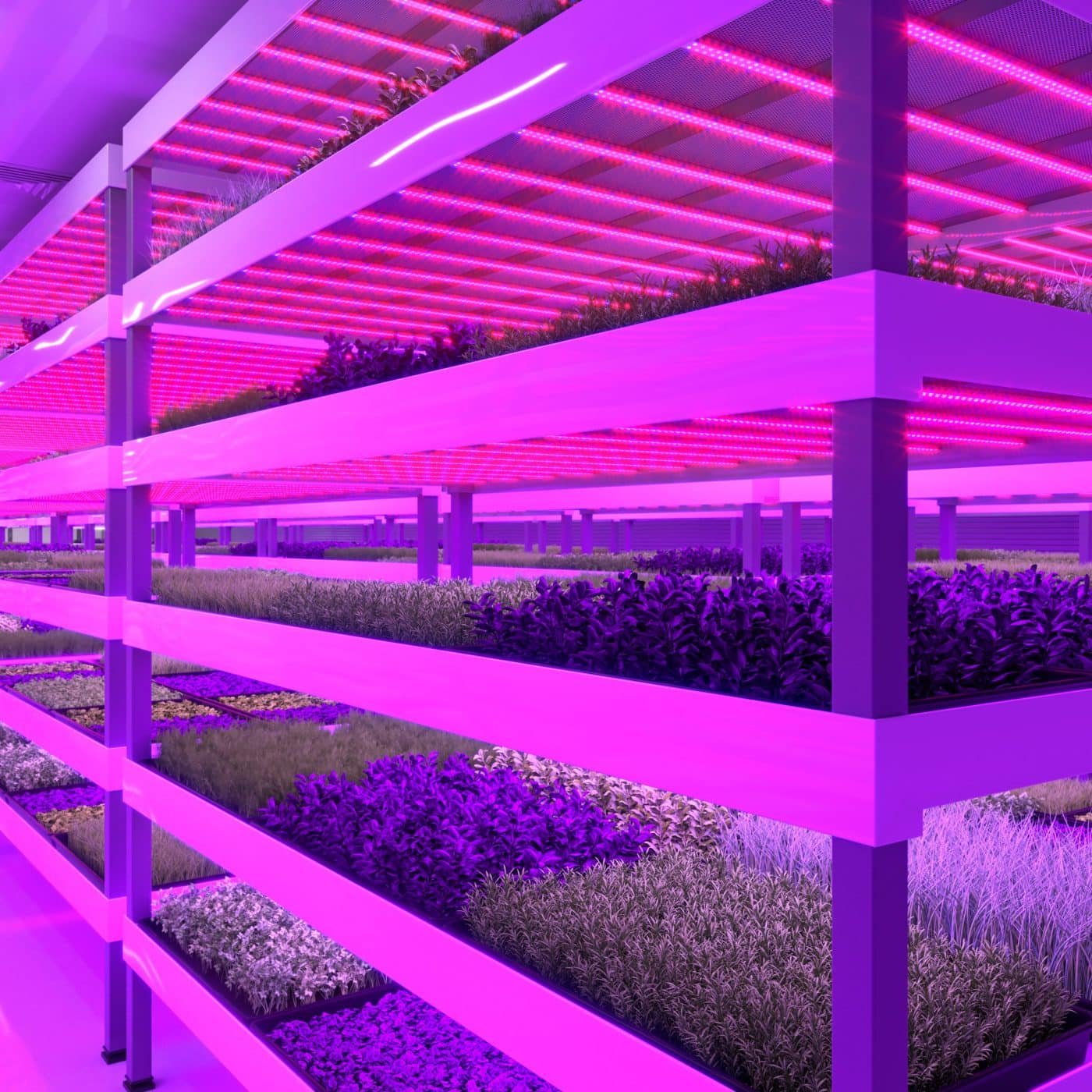 ReFarm to build vertical ‘gigafarm’ in Dubai