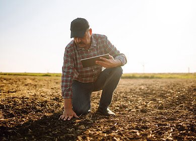 Mosaic launched K-Mag trials for enhanced cotton yields in US