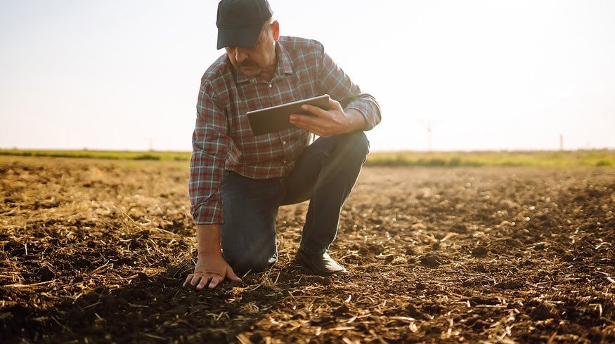 Mosaic launched K-Mag trials for enhanced cotton yields in US