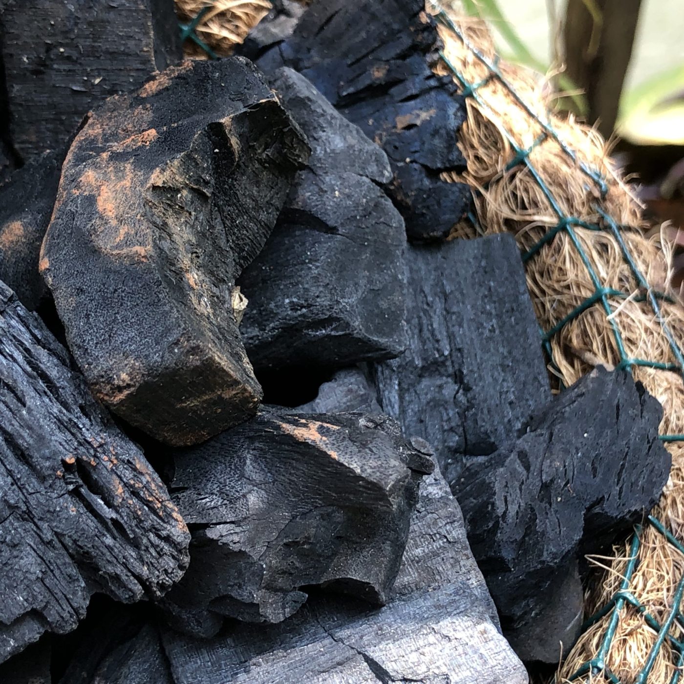 photo of charcoal for planting media